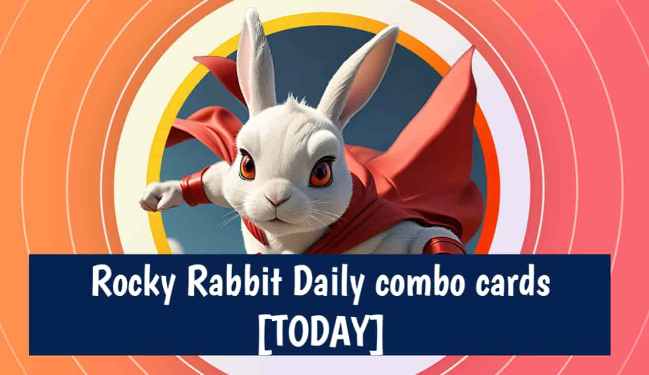 Rocky Rabbit Daily combo cards July [TODAY]